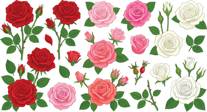 Comprehensive botanical set featuring hand drawn blooming rose heads delicate buds thorns and leafy stems for beautiful wedding floral arrangements isolated on white background