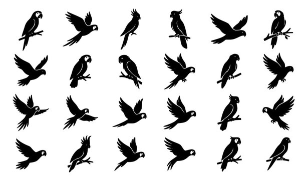 Minimal parrot silhouette vector set with flying and perched tropical bird black icon collection
