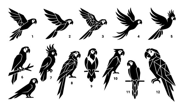 Abstract geometric parrot silhouette vector set with flying and resting tropical bird icon collection