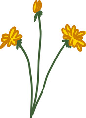 Obraz premium Dandelion Naive Drawn