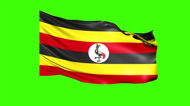 Looping UGANDA Flag Animation on Green Screen, Waving UGANDA Flag Isolated PNG Video