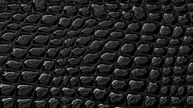Close look at dark texture of reptile skin showing scale patterns in natural light