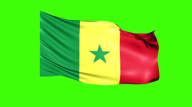 Looping SENEGAL Flag Animation on Green Screen, Waving SENEGAL Flag Isolated PNG Video