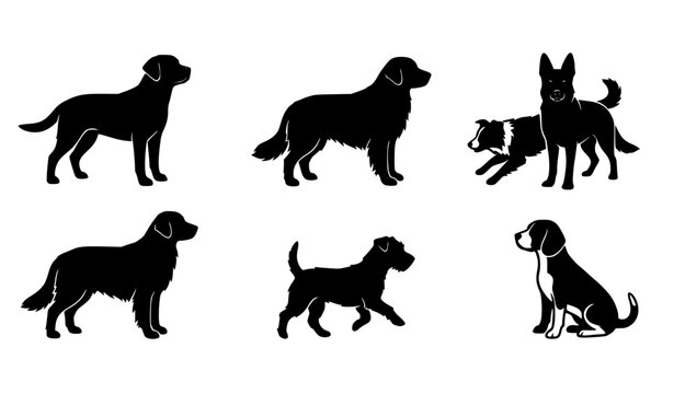 Realistic Black Dog Silhouettes Vector Set with Various Standing Poses