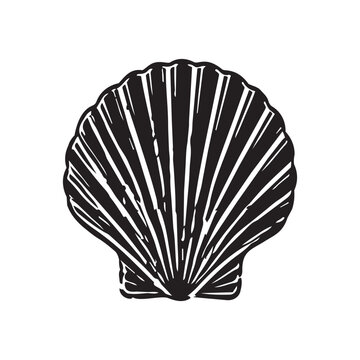 Vector sea shell for illustration beach ocean and linocut stamp silhouette. Isolated design nature for icon water vector and summer seashell monochrome. Vector grunge print for illustration