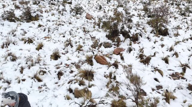 snowy landscape in rural town in Mendoza