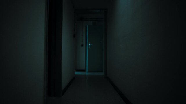 First person perspective moving slowly down a dark, eerie corridor towards a mysterious door