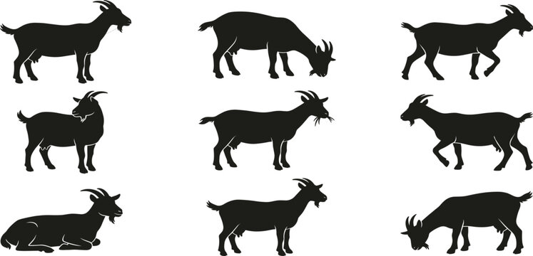 Goat Silhouette Graphic Vector Icon Collection Set with Various Farm Animal Poses Including Grazing Walking and Standing for Countryside Ranch Agriculture and Livestock Logo Designs