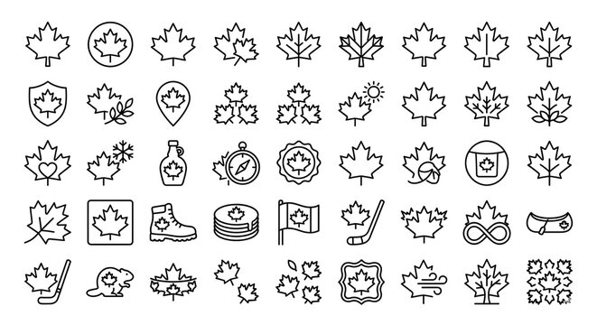 Set of maple leaf icons, thin line style