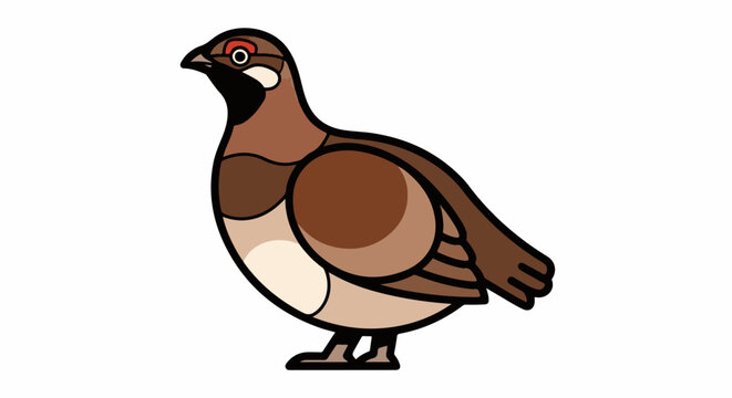Cute cartoon quail bird with brown feathers and red eye accent