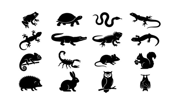 Small Wildlife and Reptile Black Silhouette Vector Icon Collection Isolated on White Background