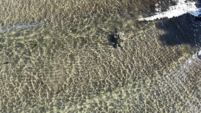 The peaceful underwater journey of the loggerhead sea turtle, one of the charming inhabitants of the deep-blue seas