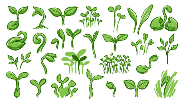 A vibrant collection of diverse green plant sprouts in various stages of growth, showcasing the beauty of new life and botanical development.