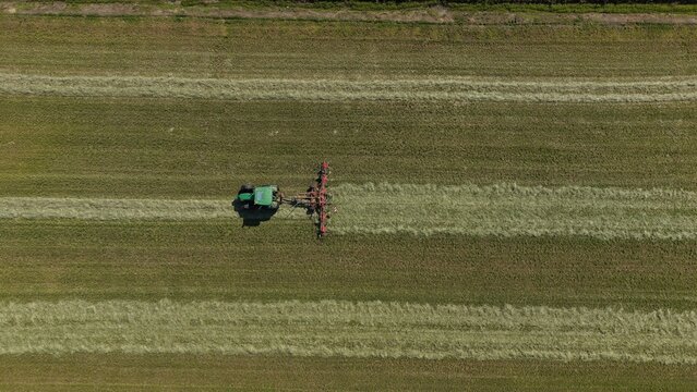 Tractor with a hay tedder turns freshly cut grass for faster natural drying. Aerial drone footage features a wide agricultural landscape with copy space for text and branding.