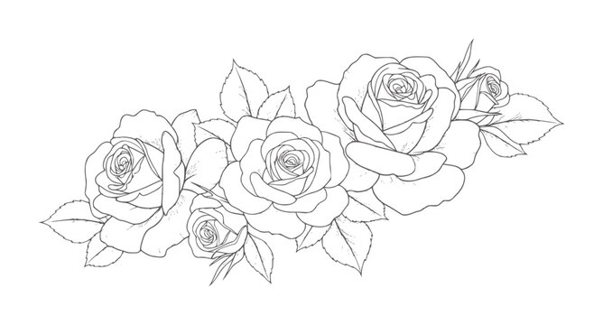 Delicate line floral arrangement of blooming roses and leaves flower petal