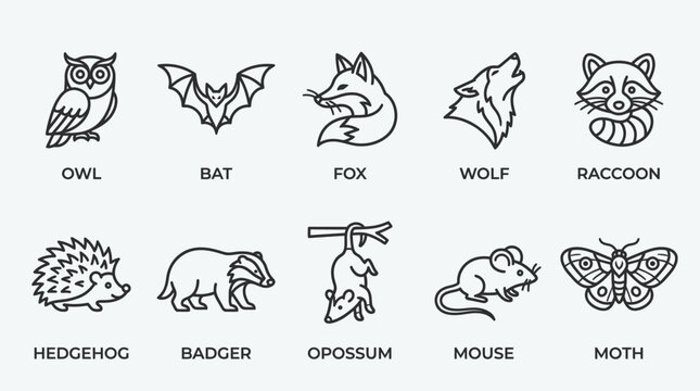 Collection of nocturnal forest animal icons.