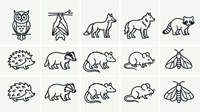 Collection of various animal line drawings.