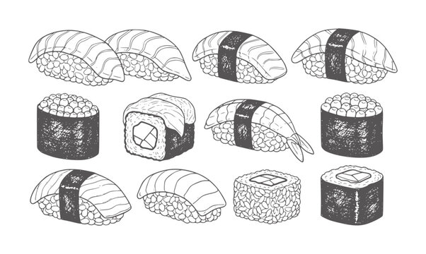 Hand drawn sushi and rolls assortment white salmon shrimp maki