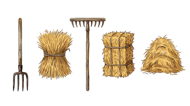 Farm tools, hay bales, and straw bundles are presented in a charming hand-drawn illustration with a rustic aesthetic, perfect for agricultural themes.