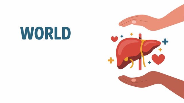 World Hepatitis Day Animated Concept with Human Liver and Caring Hands