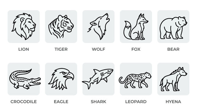 Wild Animals Line Drawings Collection.