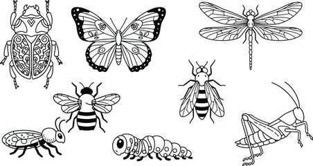 Obraz premium Insect line art vector illustration set with isolated black and white butterfly beetle dragonfly and bee coloring elementsInsect line art vector illustration set with isolated black and white butterfl