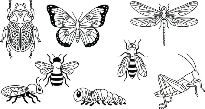 Insect line art vector illustration set with isolated black and white butterfly beetle dragonfly and bee coloring elementsInsect line art vector illustration set with isolated black and white butterfl