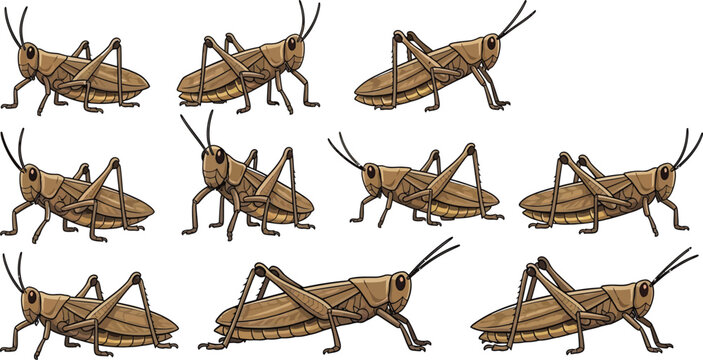 Cartoon brown grasshopper vector illustration set with isolated cricket or locust characters in various crawling and jumping posesCartoon brown grasshopper vector illustration set with isolated cricke