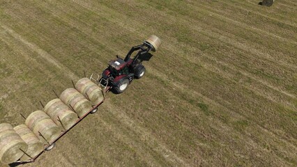 Tractor Collecting Hay Bales in Field: A red tractor with a mechanical arm collects round hay bales from a mowed field, transporting them to a trailer. © Andrew