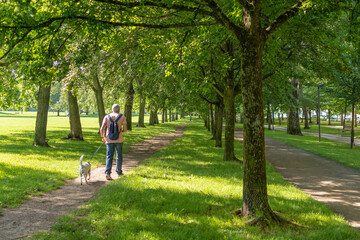 Fototapeta premium Walking the dog on a leash in the park