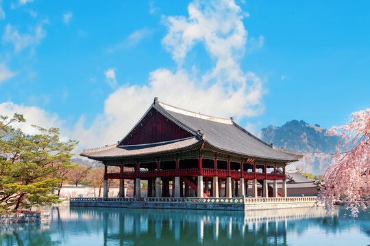 Seoul, South Korea. Gyeongbokgung Palace and cherry blossoms.