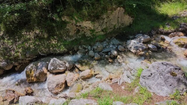 Fresh mountain water flowing over rocky riverbed in nature, lush forest scenery, peaceful stream environment