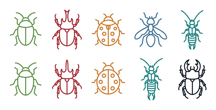 Various colorful insect bug beetle outline icons representing different species of arthropods in a modern, minimalist vector illustration style.
