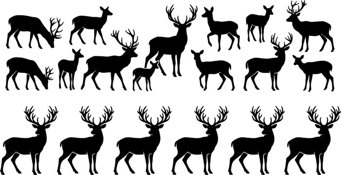 Deer silhouettes collection with stag buck doe and fawn standing and grazing isolated on white background vector illustration