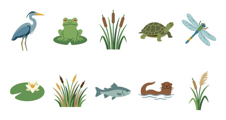 Naklejka premium Various pond animals and plants including a heron, frog, turtle, dragonfly, otter, fish, cattails, and water lily are depicted in a charming flat design illustration.