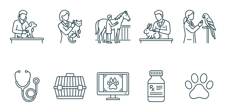 Veterinary care icons set showcasing doctors examining different animals such as dogs, cats, horses, rabbits, and parrots, with related medical tools.