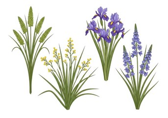 Fototapeta premium Four beautiful flowers illustration with green leaves and purple blooms isolated on white background