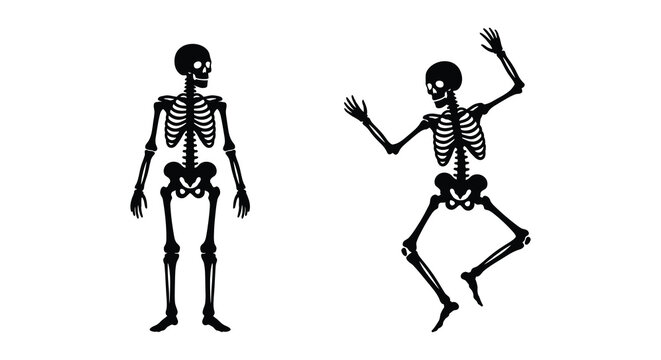 two human skeletons standing and dancing silhouette