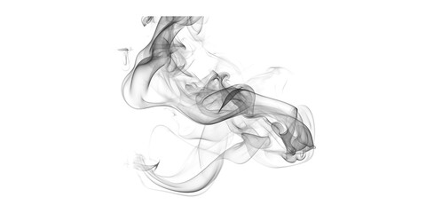 Horse galloping in dynamic motion with flowing mane and tail isolated on transparent background © Master