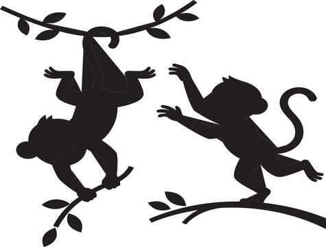 Black silhouette monkey vector illustration showing two monkeys playing and hanging on jungle branches isolated on a white background.