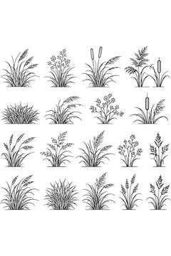 Realistic Ornamental Grass AutoCAD Illustrations for Architecture