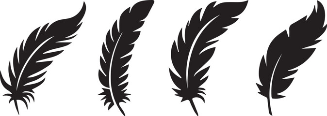 Four black feathers on white background © NasimaAktar