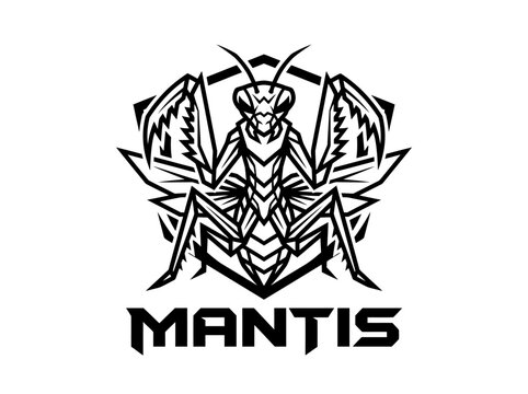 Mantis insect logo design element.
