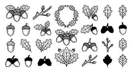 Creative acorn and oak branch vector line art with autumn botanical illustration © Jasim