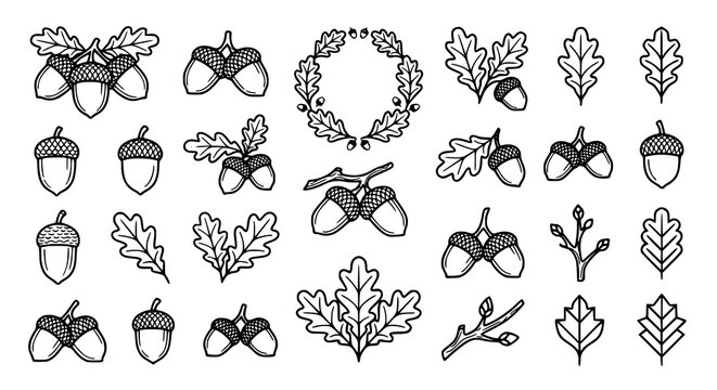 Black outline acorn and oak leaf icon collection vector illustration