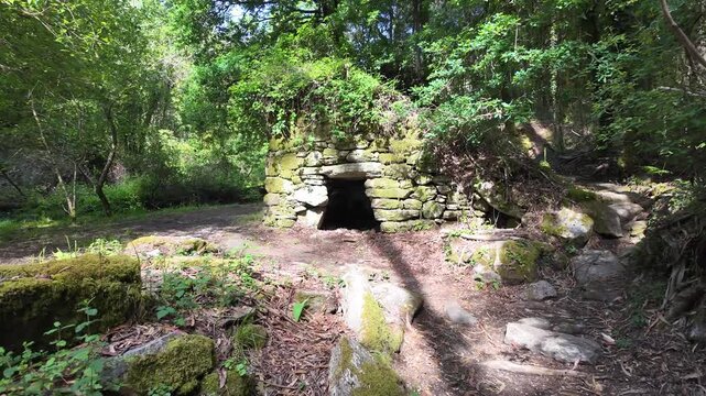 Camino de santiago path winding through galician forest
