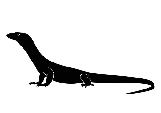 Black silhouette of a lizard standing.