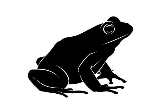 Black silhouette of a sitting frog.