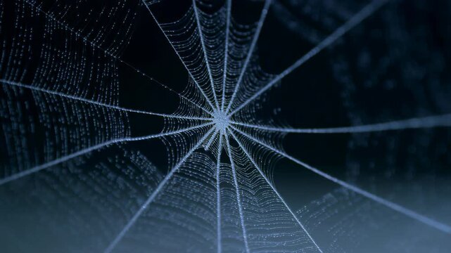 Spider web macro with radial threads and geometric bokeh, glowing blue moody texture on dark background