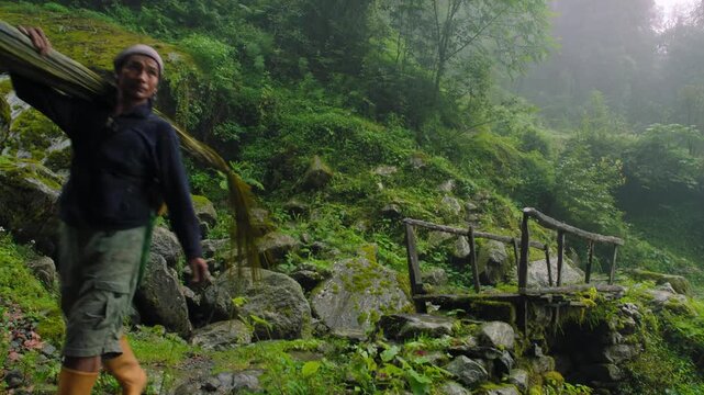 Working man crossing a wooden bridge while carrying a bundle of bamboo in a foggy green forest